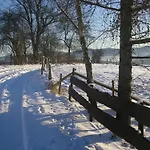 Silbecke Forest View