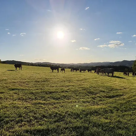 Silbecke Forest View * Аттендорн
