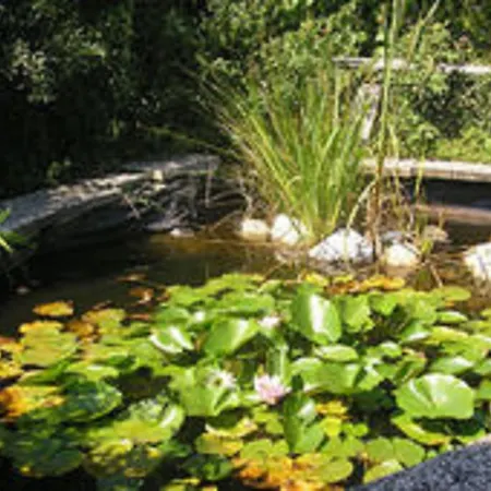 Silbecke Forest View אטנדורן