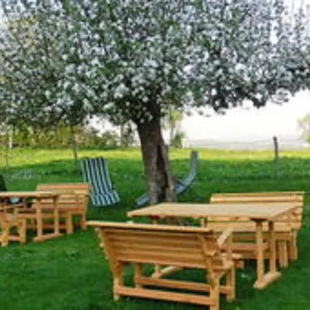 Silbecke Forest View