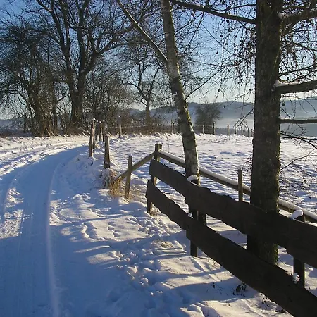 Silbecke Forest View