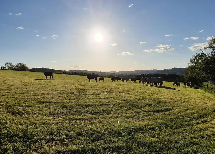 Silbecke Forest View * 阿滕多恩