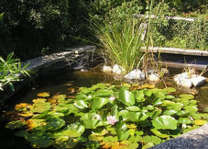 Silbecke Forest View 阿滕多恩