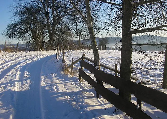 Silbecke Forest View